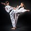 Image result for Taekwondo Woman Feet