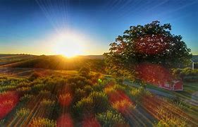 Image result for Barton Orchards Peach Picking