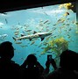 Image result for Morro Bay Aquarium