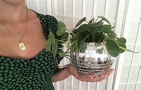 Image result for Disco Ball Planter