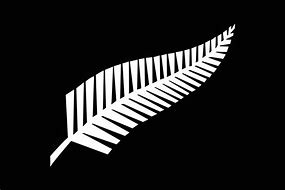 Image result for New Zealand Fern Clip Art