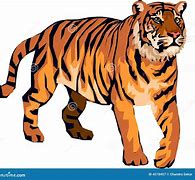 Image result for Mad Tiger Cartoon