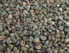 Image result for Unroasted Portrait Coffee Beans