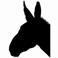 Image result for Mule Head Clip Art