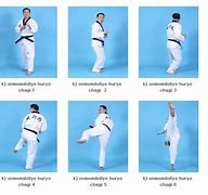 Image result for Front Kick Taekwondo