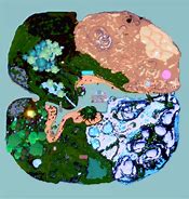 Image result for Creatures of Sonaria Full Map