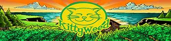 Image result for Kitten Weed