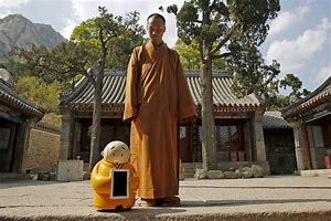 Image result for China Monk