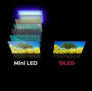 Image result for Mini LED vs OLED