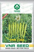 Image result for VNR Seeds