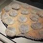 Image result for Gobi Dinosaur Eggs