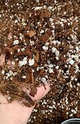 Image result for Tropical Soil