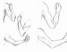 Image result for Realistic Arm Drawing