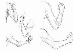 Image result for Cradle Arms Drawing