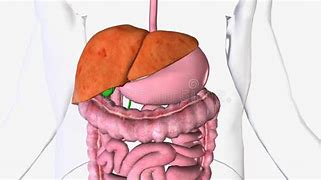 Image result for Swelling of Liver