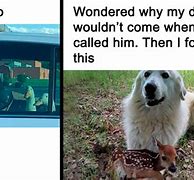 Image result for funny memes no text animals