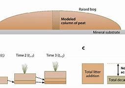 Image result for Raised Peat Bog