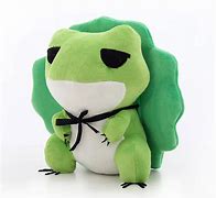 Image result for Frog Plushie