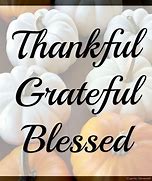 Image result for Grateful Blessed Thankful Sayings