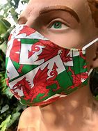 Image result for Welsh Dragon Flag Dinner Suit