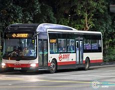 Image result for Smrt Bus for 7