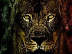 Image result for Rasta Lion with Crown Wallpaper