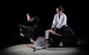 Image result for Aikido Circular Force Image