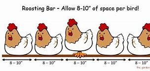 Image result for Space for Chicken Roost