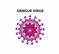 Image result for Dengue Diarrhea