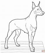 Image result for Doberman Line Drawing