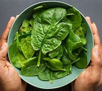 Image result for Female Spinach Plant