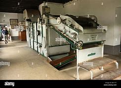 Image result for Tea Jiggler Machine Istem