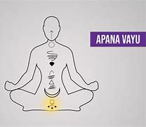 Image result for Apana Vayu