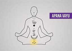 Image result for 5 Prana Vayus