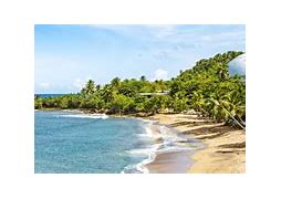 Image result for Puerto Rico Secluded Beaches