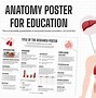 Image result for Osteon Anatomy Poster