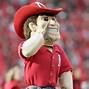 Image result for American Football Mascots