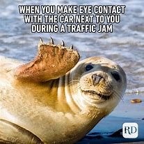 Image result for Funny Forest Animals Meme