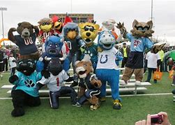 Image result for American Football Mascots