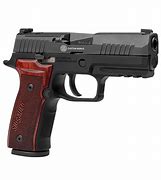 Image result for Sig Sauer P-320 XL