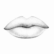 Image result for Llama Lips