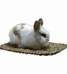 Image result for Woven Grass Mat