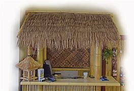 Image result for Palm Thatch Roof