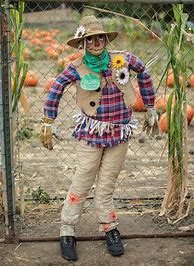 Image result for Garden Scarecrow Ideas