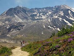 Image result for Mount St. Helens Hiking Map