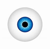 Image result for Human Eyeball