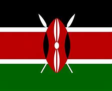 Image result for Kenyan Dflag