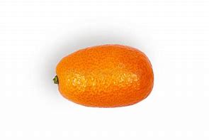 Image result for Kumquat Fruit White Background