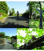 Image result for Cycle Route 47