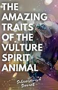 Image result for Vulture Spirit